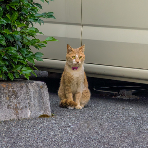 Photo #13943720