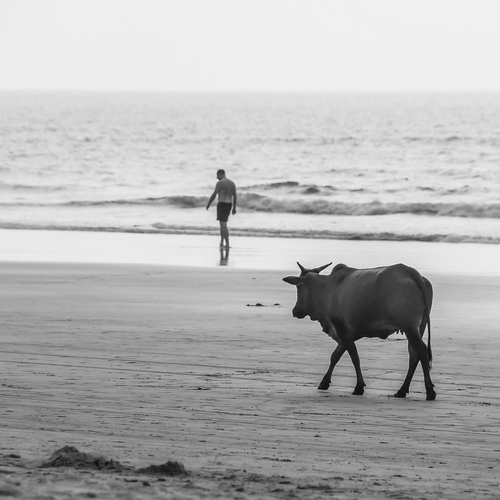 Photo #13943723