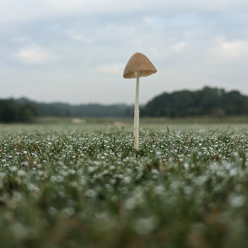 Photo #13943729
