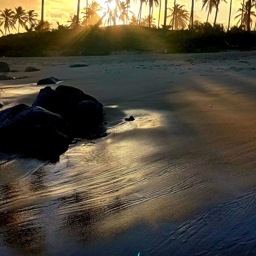 Final de tarde
