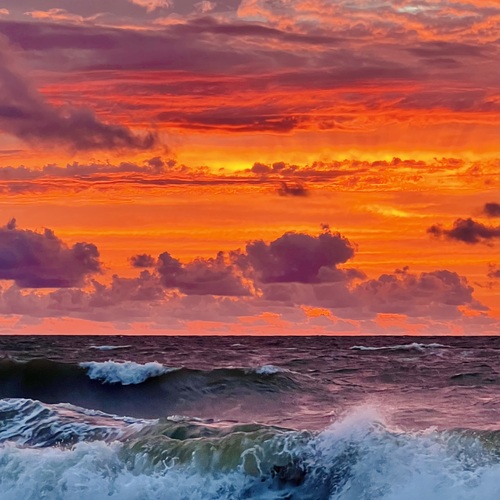 Photo #13943737