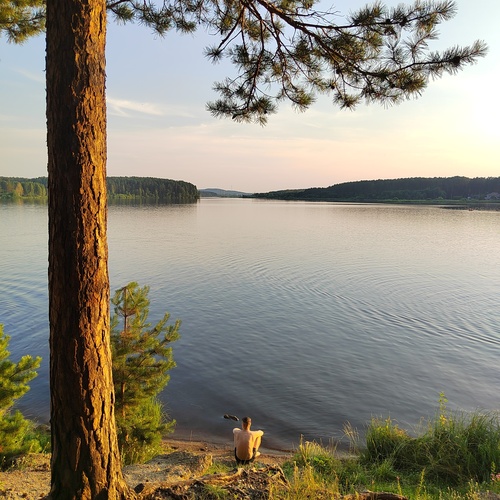Photo #13943743