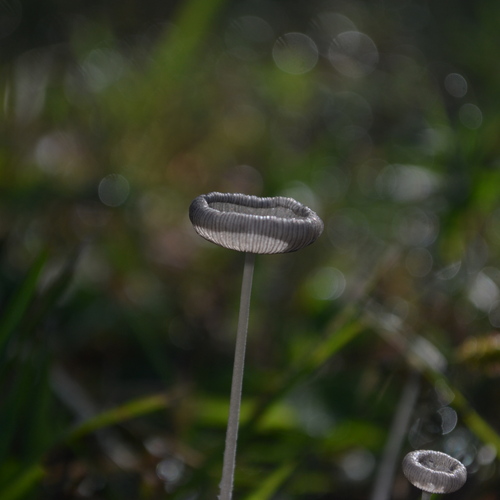 Photo #13943779