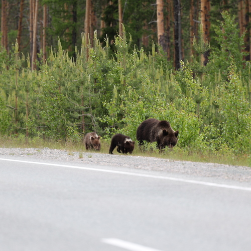 Photo #13943830