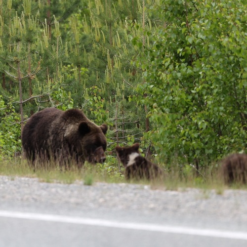 Photo #13943833