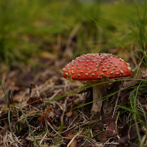 Photo #13943842