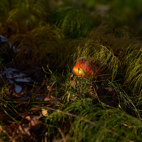 Photo #13943848