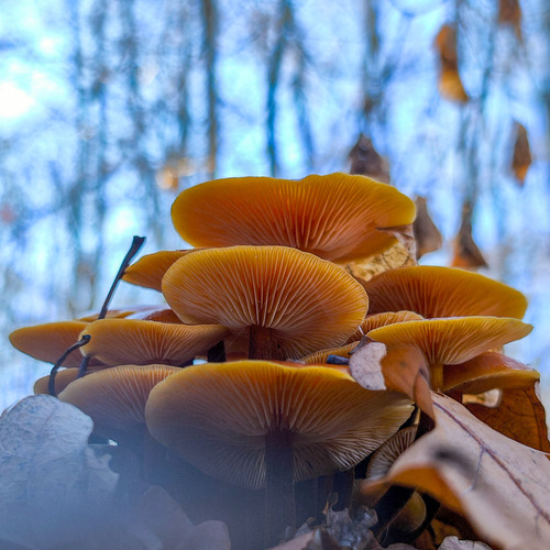 Photo #13944227