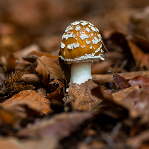 Photo #13944233