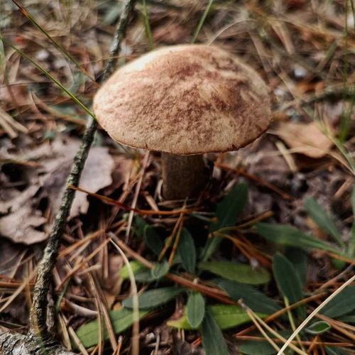 Photo #13944740