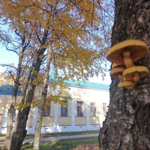 Photo #13944842