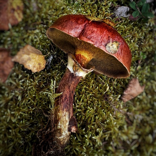 Photo #13944893