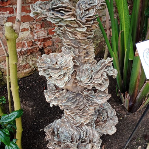 Photo #13944918