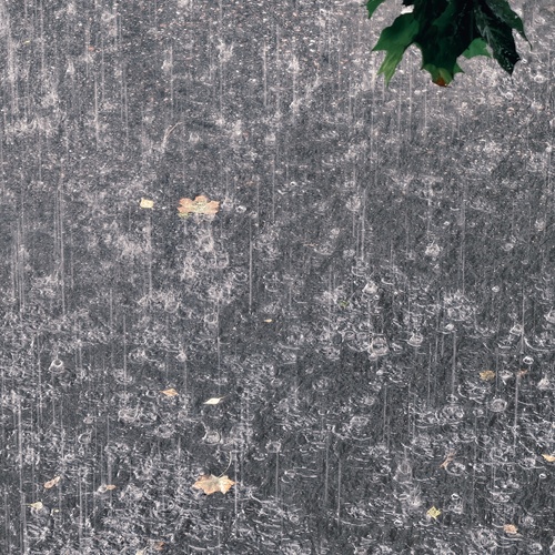 Photo #13944998