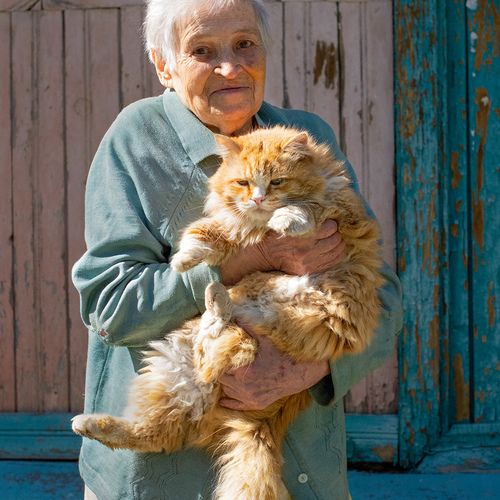 Рыжая любимица
