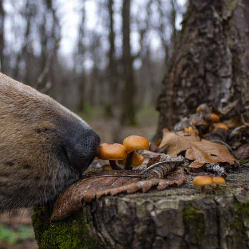 Photo #13945212