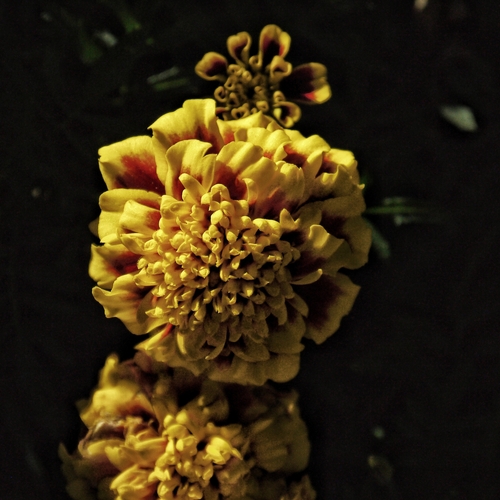 Photo #13945344