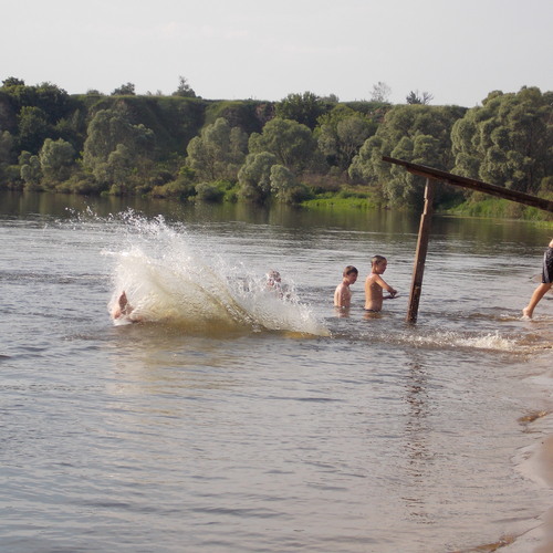 Photo #13945847