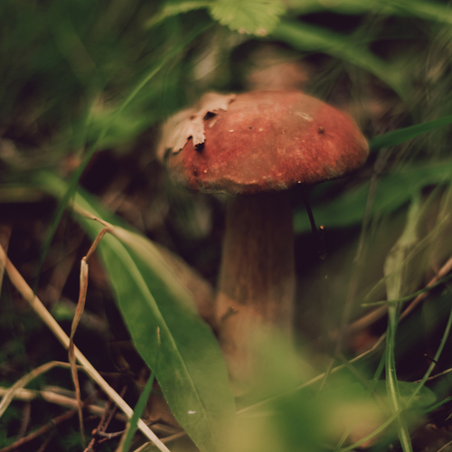 Photo #13945873