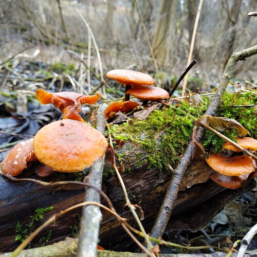 Photo #13945939