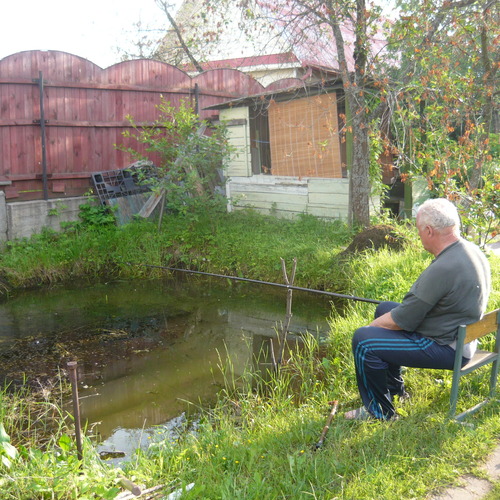 Photo #13946041
