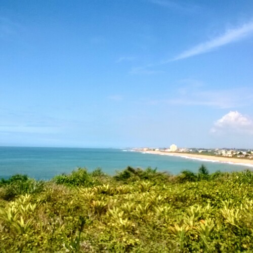 Photo #13946052