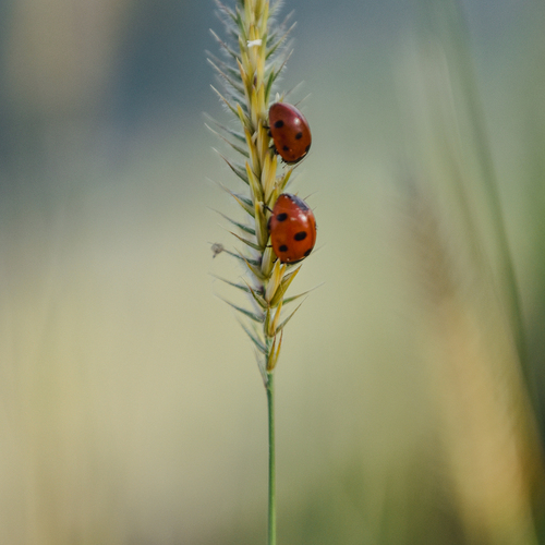 Photo #13946122