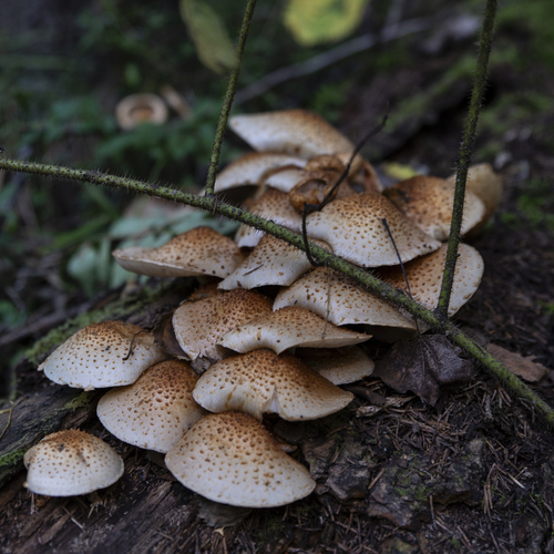 Photo #13946176