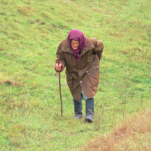 Photo #13946197