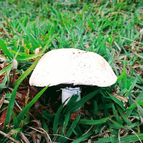Photo #13946342