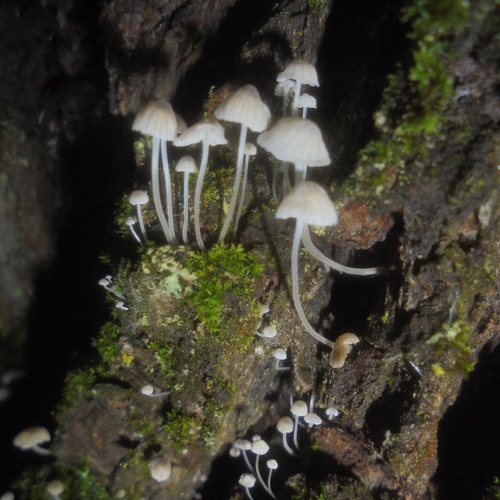 Photo #13946357