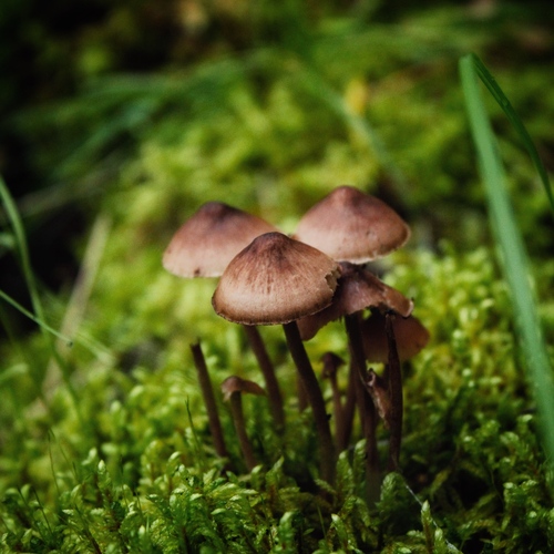 Photo #13946401