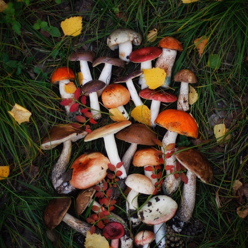 Photo #13946403