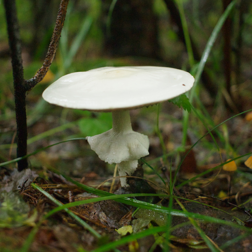 Photo #13946439