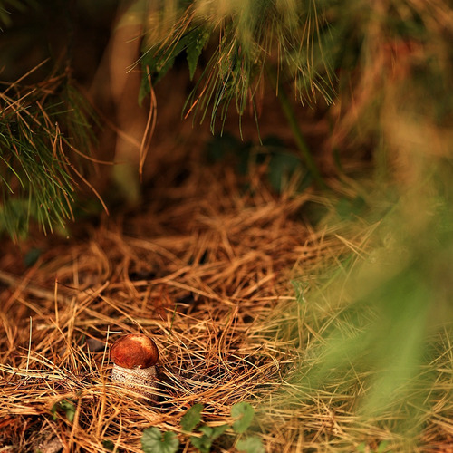 Photo #13946481