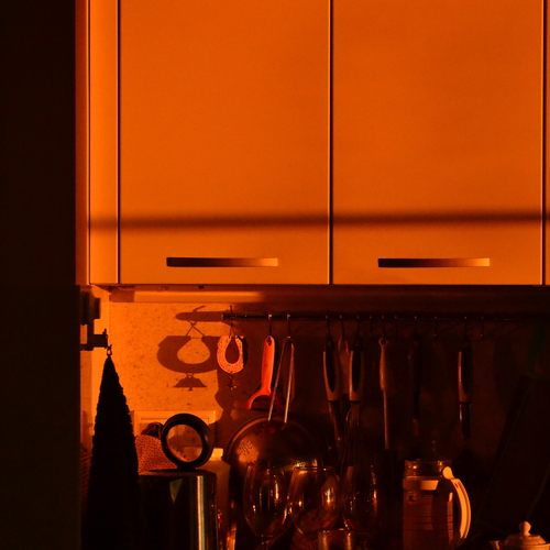 Photo #13946510