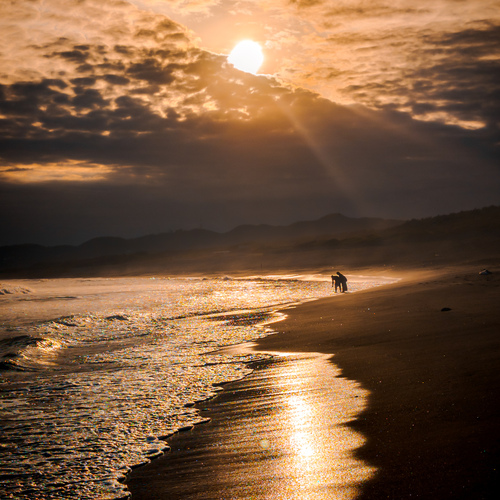 Photo #13946580