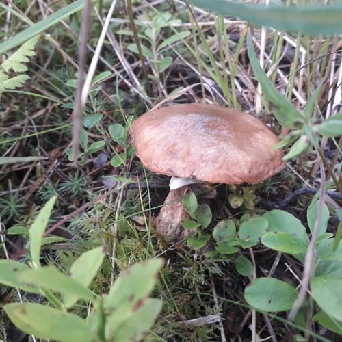 Photo #13946825