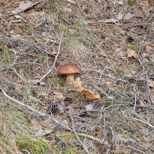 Photo #13946827