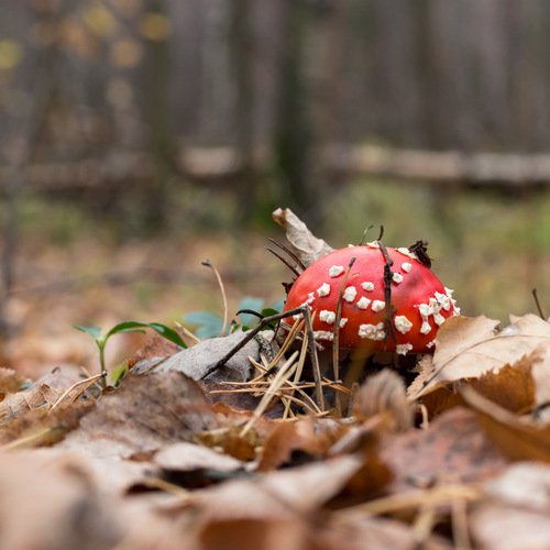 Photo #13946853