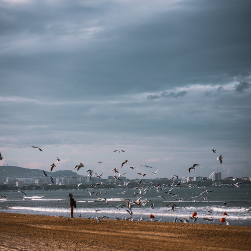 Photo #13946963