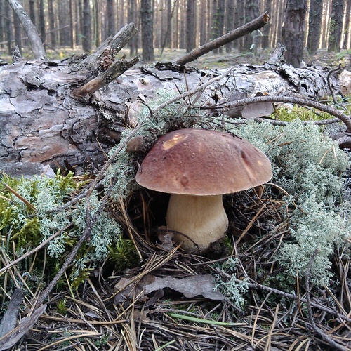 Photo #13947016