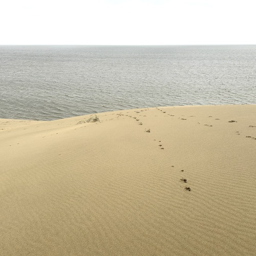 Photo #13947208