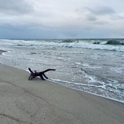 Photo #13947227