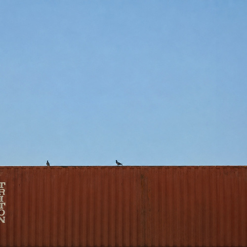 Photo #13947245
