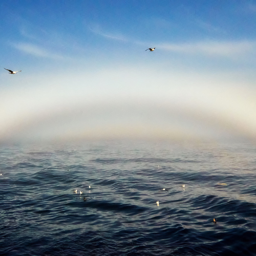 Photo #13947697