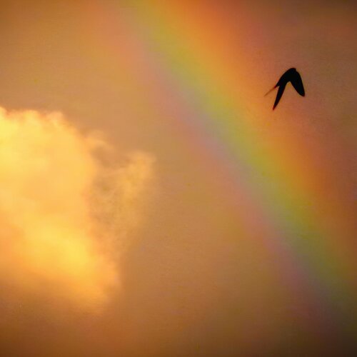 Photo #13947913