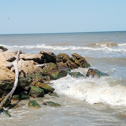 Photo #13947948