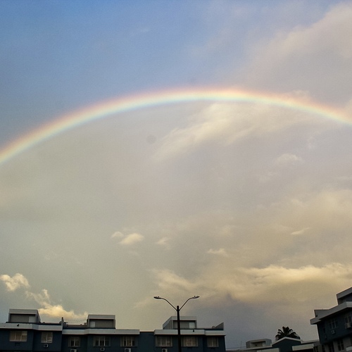 Photo #13948367