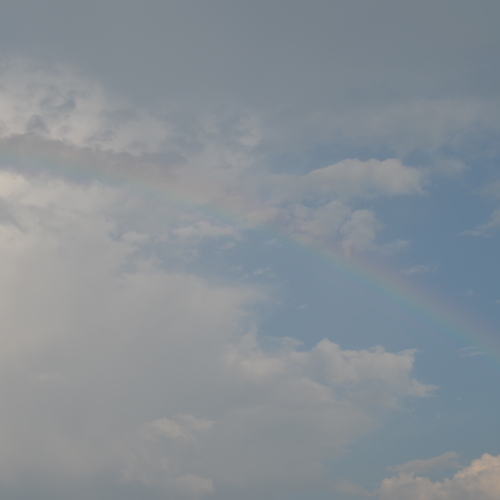 Photo #13948484